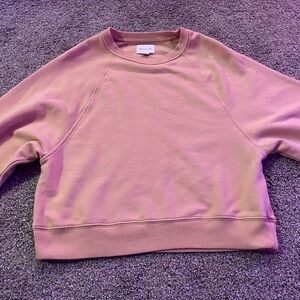 American Eagle Outfitters Blush Sweatshirt